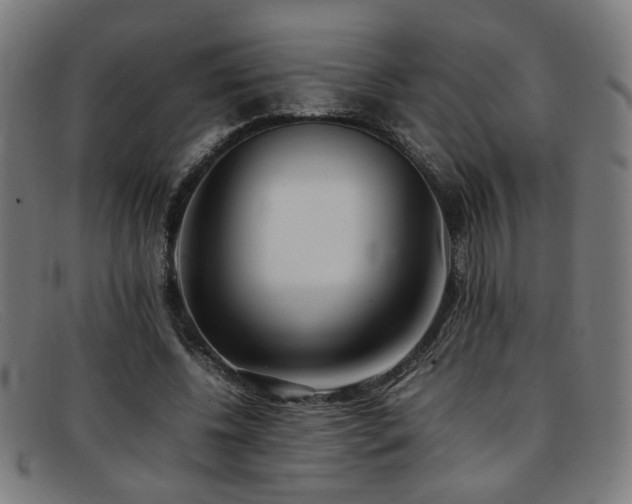 X0000092100540200709121546