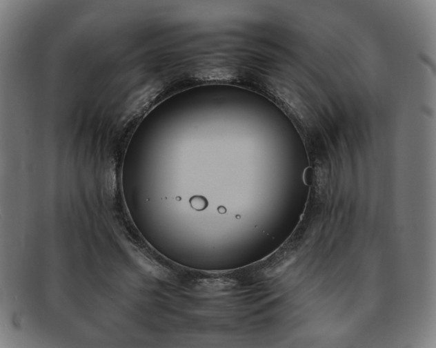 X0000092100541200709121546