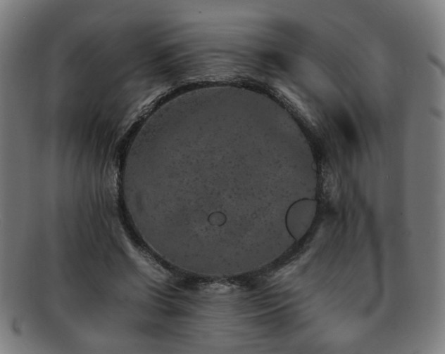 X0000092100542200709121546