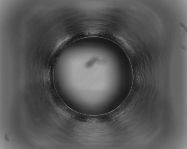 X0000092100543200709121546