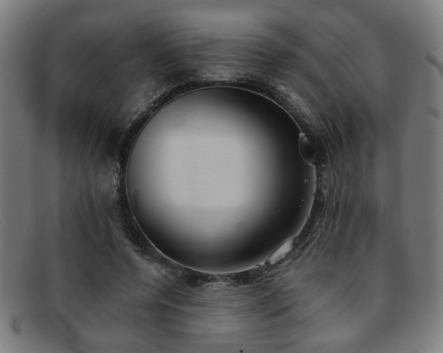 X0000092100544200709121546