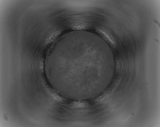 X0000092100545200709121546