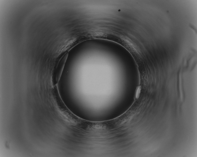X0000092100546200709121546
