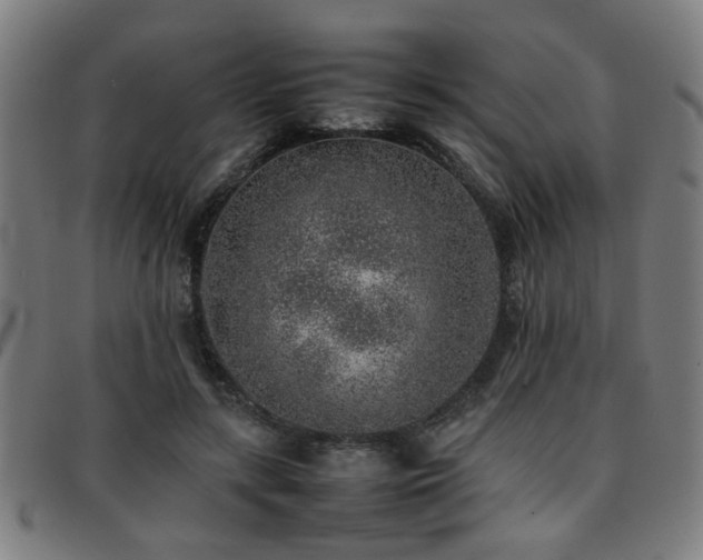 X0000092100547200709121546