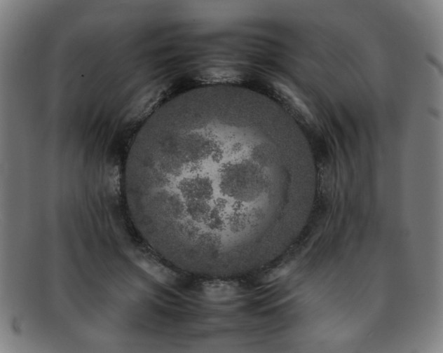 X0000092100549200709121546