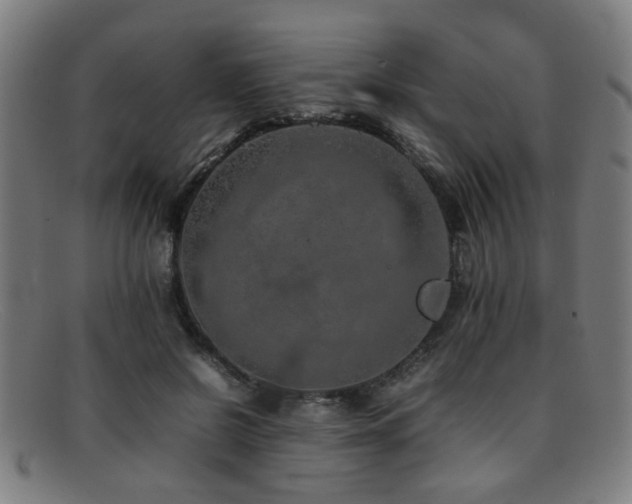 X0000092100550200709121546