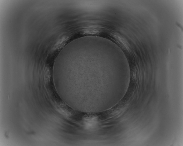 X0000092100551200709121546