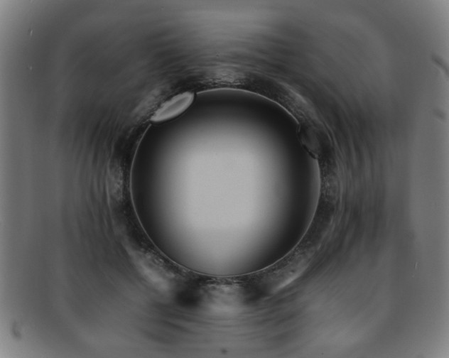 X0000092100552200709121546