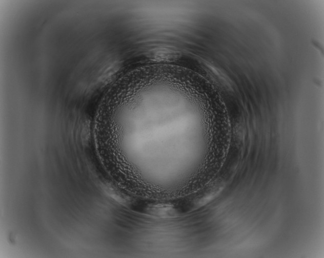X0000092100554200709121546