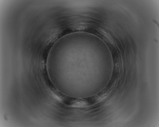 X0000092100555200709121546