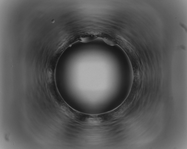 X0000092100556200709121546