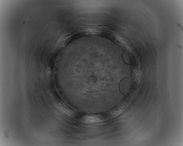 X0000092100557200709121546