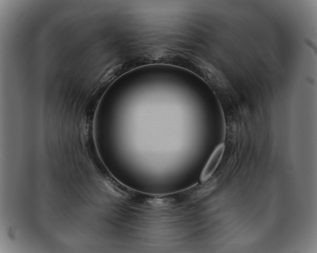 X0000092100558200709121546