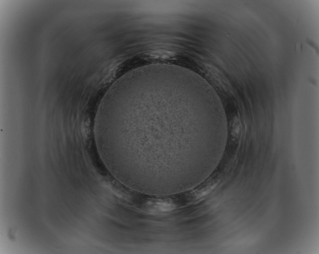 X0000092100559200709121546