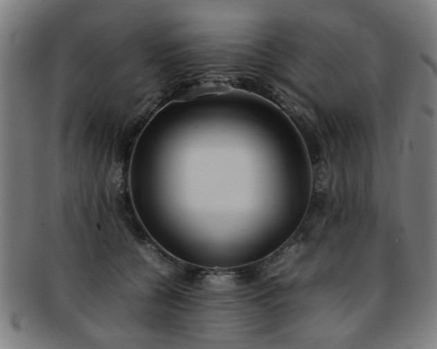 X0000092100560200709121546