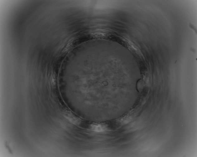 X0000092100561200709121546