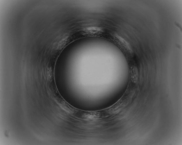 X0000092100563200709121546