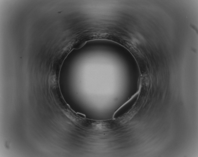 X0000092100564200709121546