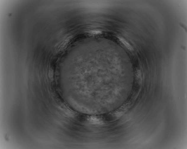 X0000092100565200709121546