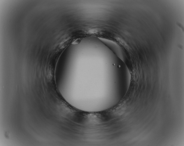 X0000092100566200709121546
