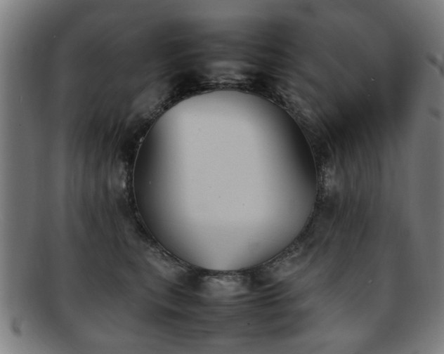 X0000092100567200709121546