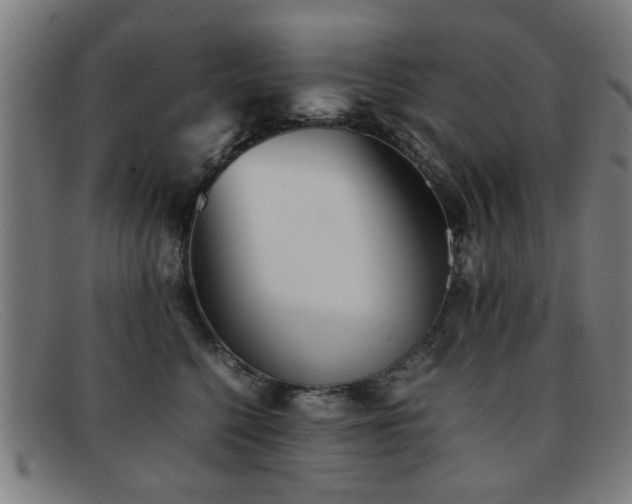 X0000092100568200709121546