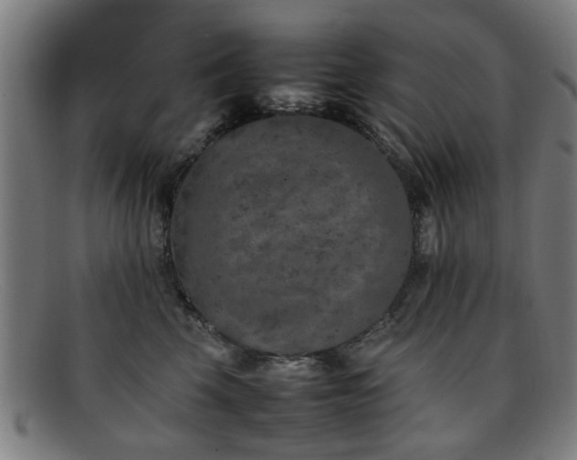 X0000092100569200709121546