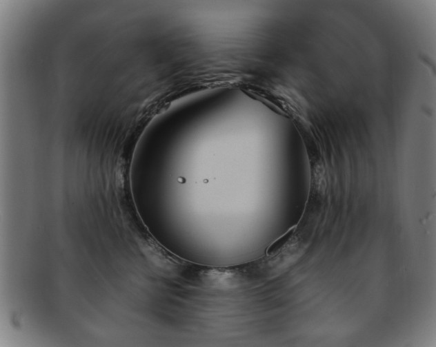 X0000092100570200709121546