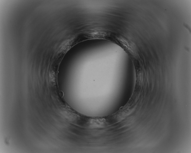 X0000092100571200709121546
