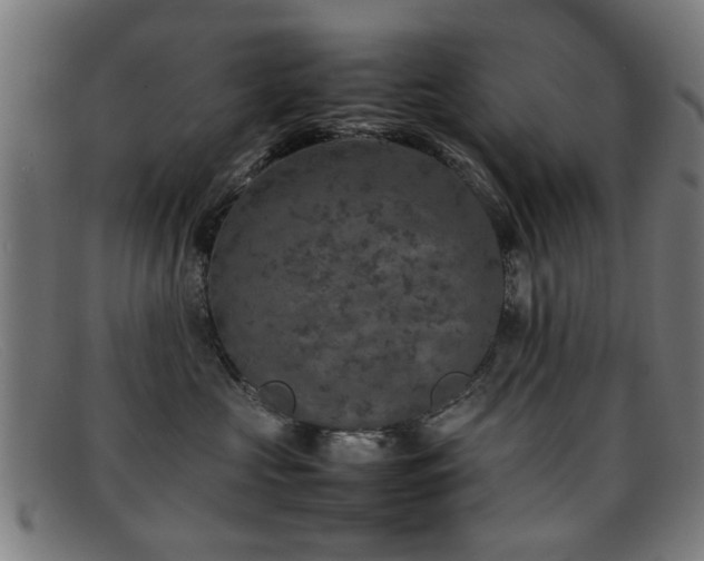 X0000092100573200709121546