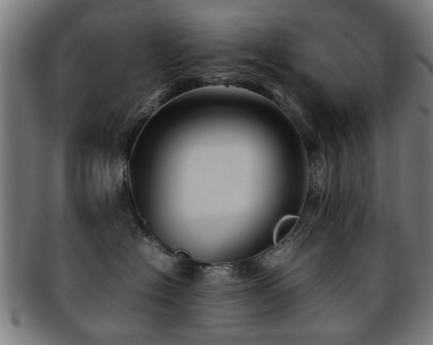 X0000092100574200709121546