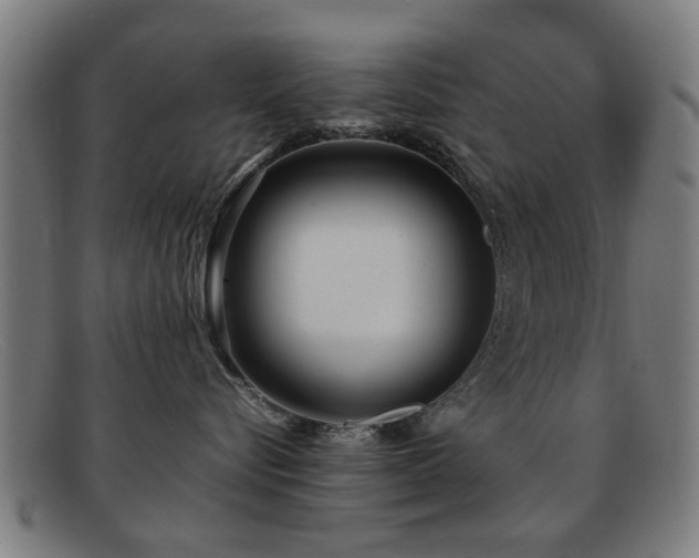 X0000092100576200709121546