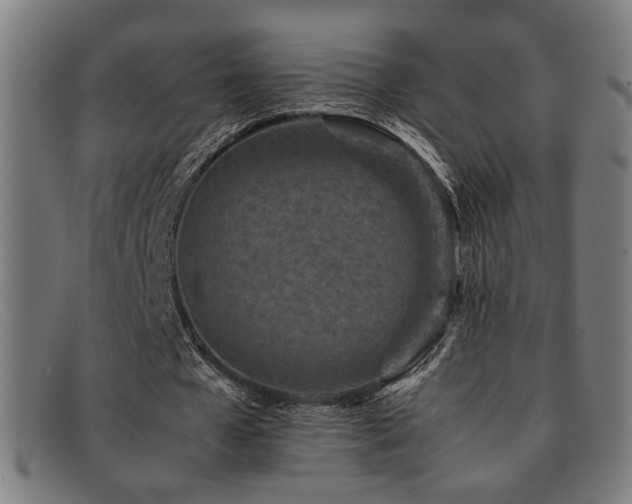 X0000092100577200709121546