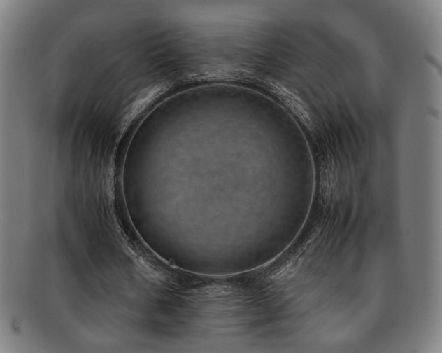X0000092100578200709121546