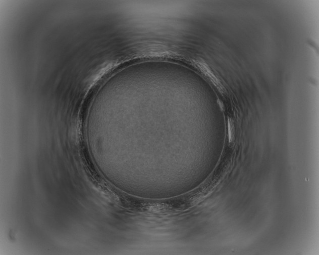 X0000092100579200709121546