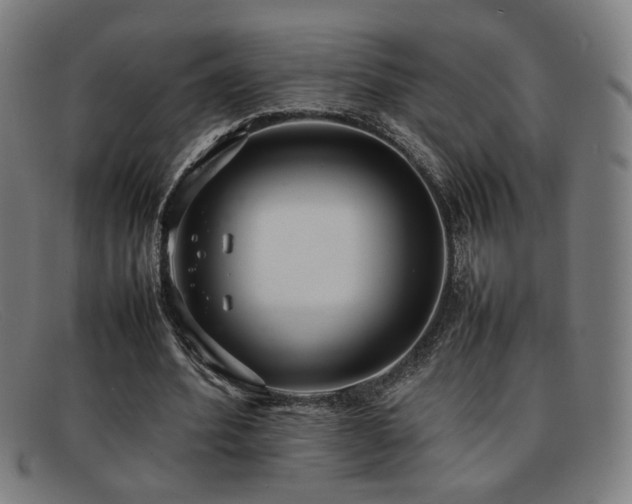 X0000092100580200709121546