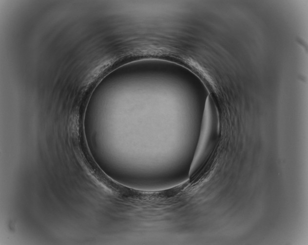 X0000092100581200709121546