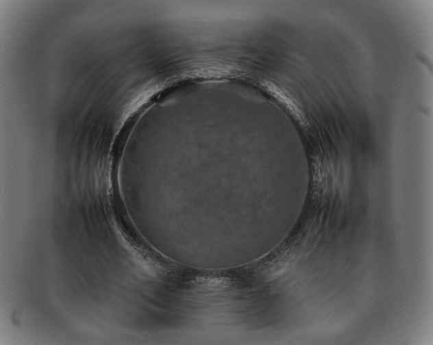 X0000092100582200709121546