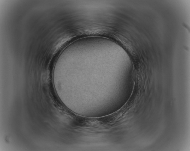 X0000092100583200709121546