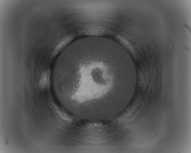 X0000092100586200709121546