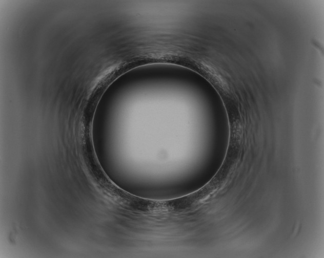 X0000092100587200709121546