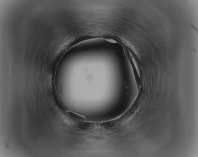 X0000092100589200709121546