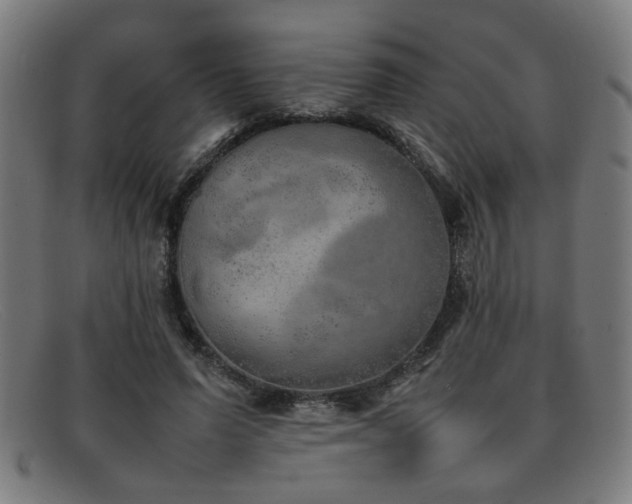 X0000092100591200709121546