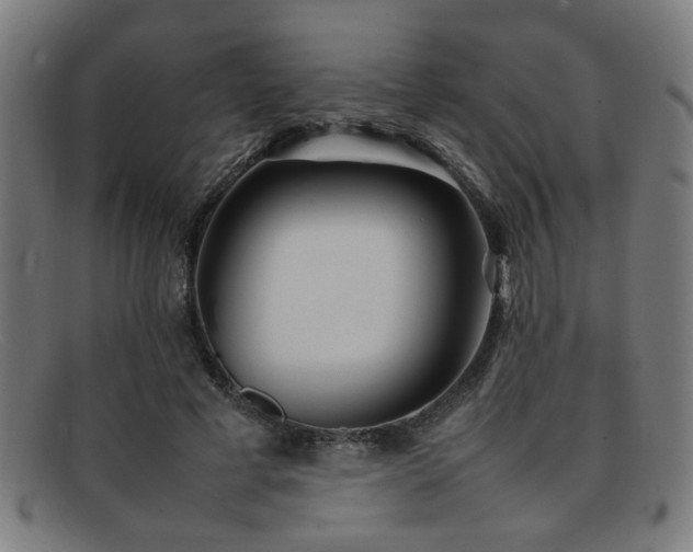 X0000092100593200709121546