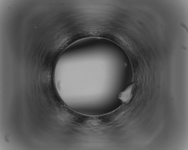 X0000092100595200709121546