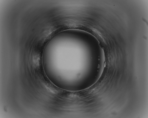 X0000092100596200709121546