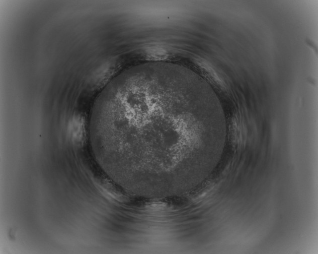 X0000092100598200709121546
