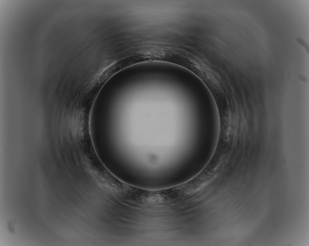 X0000092100600200709121546