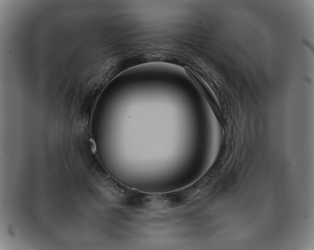 X0000092100601200709121546