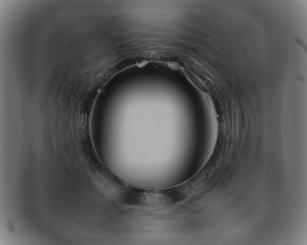 X0000092100605200709121546